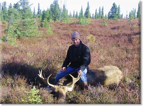 Moose Hunting Break